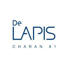 -De-Lapis-Charan-81-Condominium-Juristic-Person-
